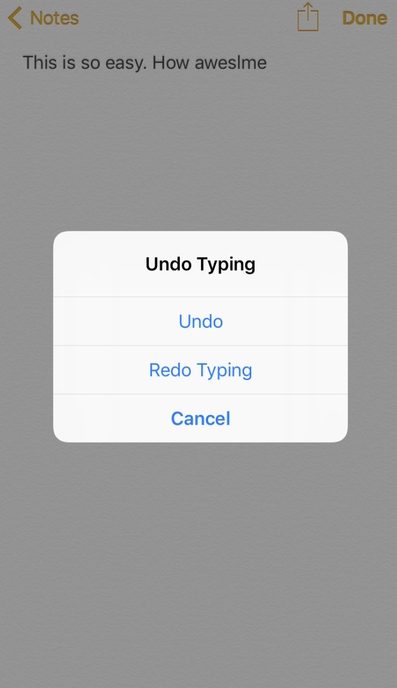 iPhone Redo Typing